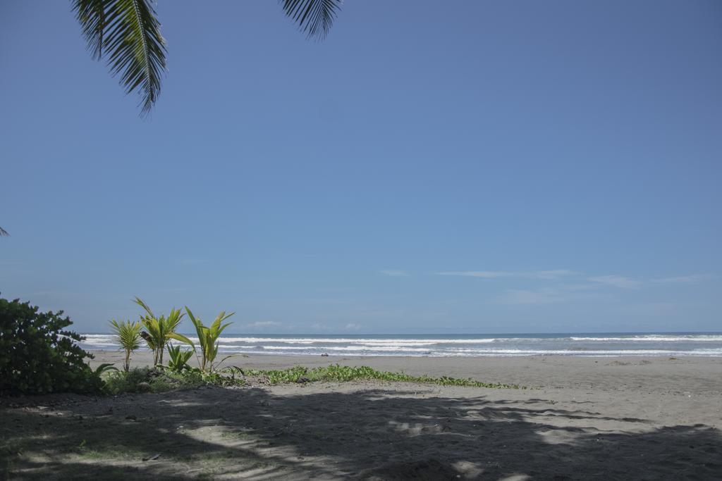 Pelican Beachfront Hotel Esterillos Este Bagian luar foto