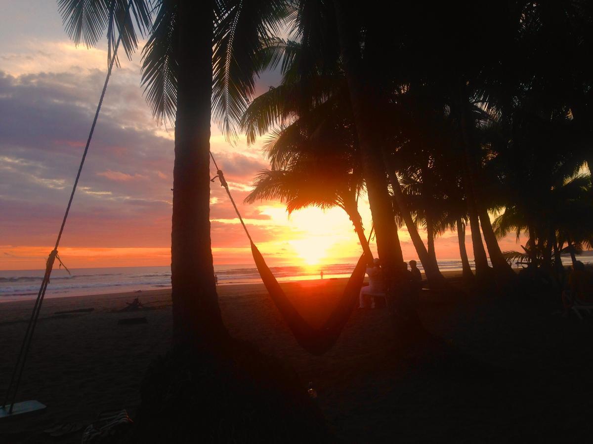 Pelican Beachfront Hotel Esterillos Este Bagian luar foto